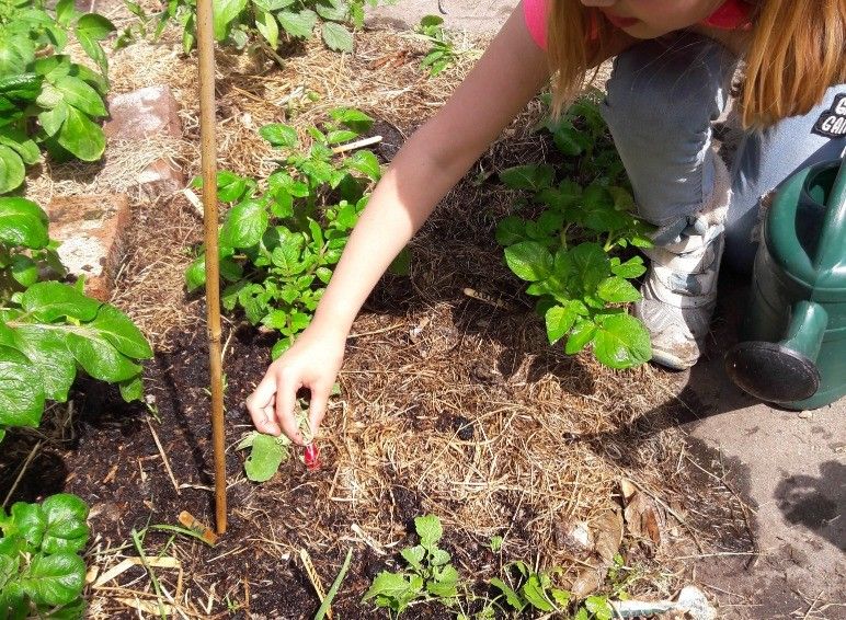 Kind in de tuin